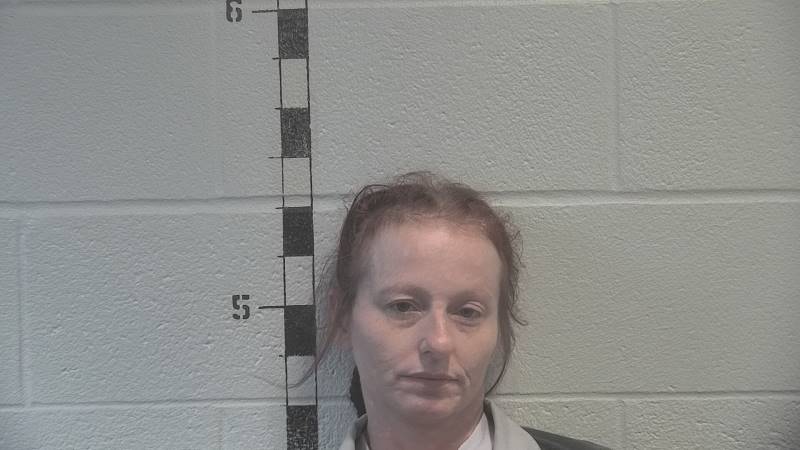 Booking photo of Sheena Lawson