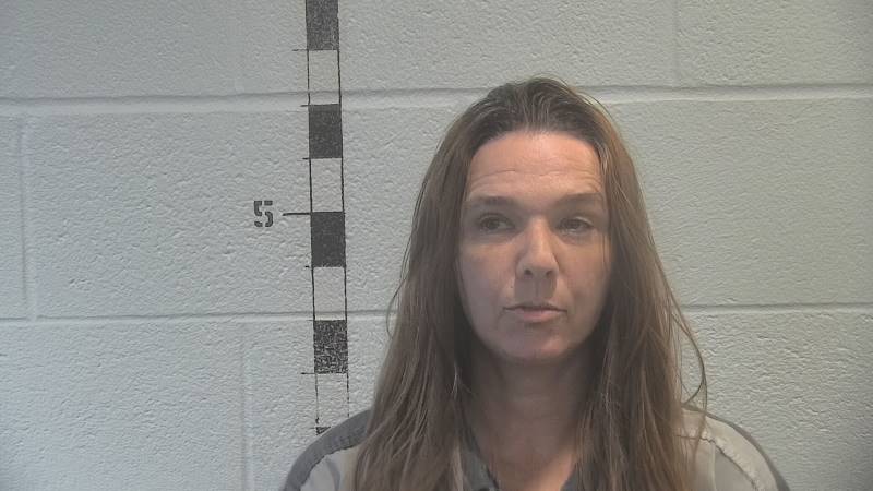 Booking photo of Misty Dunn