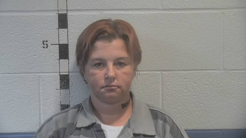 Booking photo of Paula Raisor