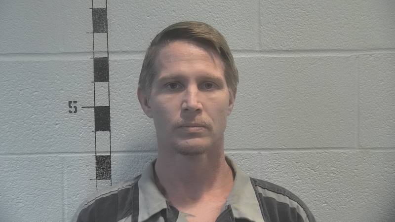 Booking photo of Kodi Mitchell