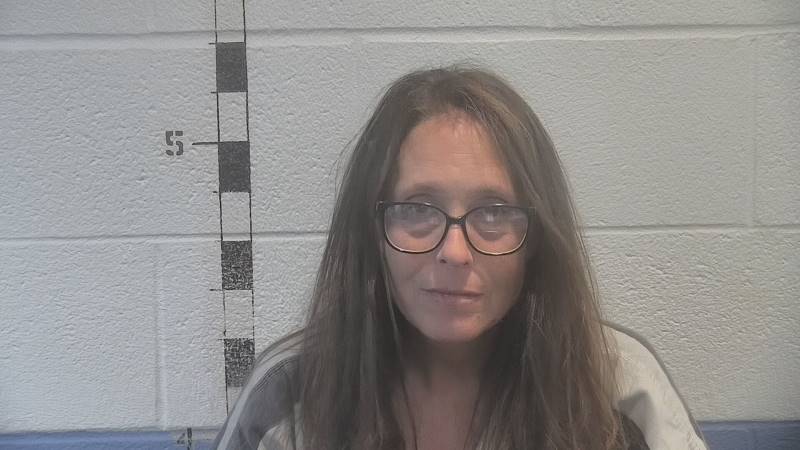 Booking photo of Jennifer Brinkley