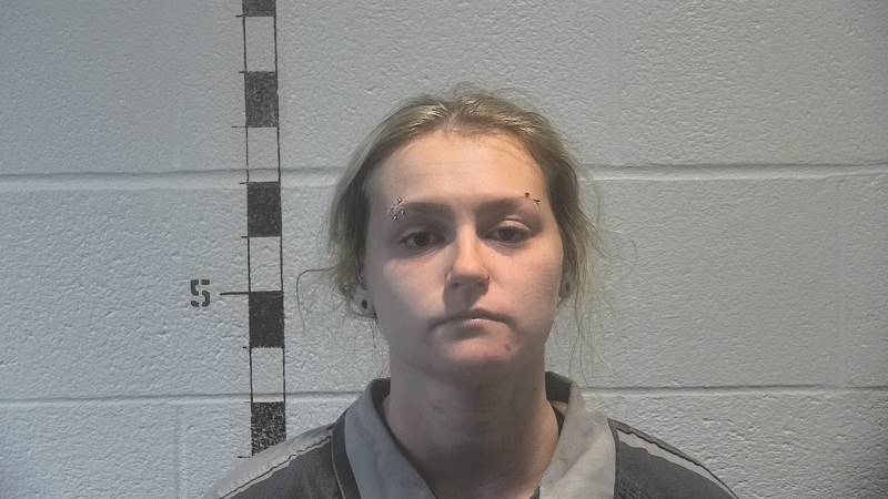 Booking photo of Sophia Dalton