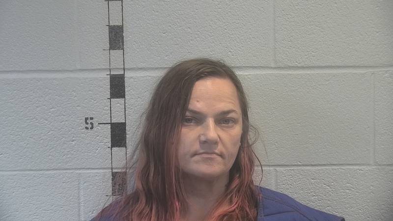 Booking photo of Lynn Ridener