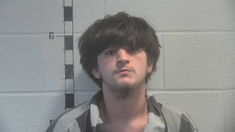 Booking photo of Logan Lewis