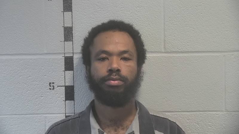 Booking photo of Chantez Anderson