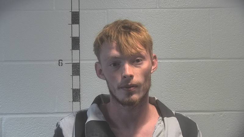 Trevor Johnson booking photo
