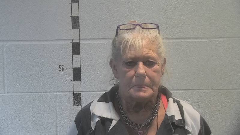 Teresa Villalobos booking photo