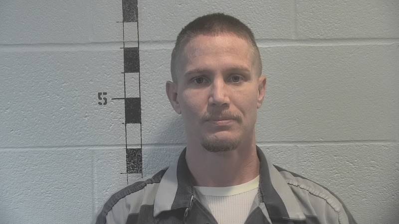 Booking photo of Kodi Mitchell