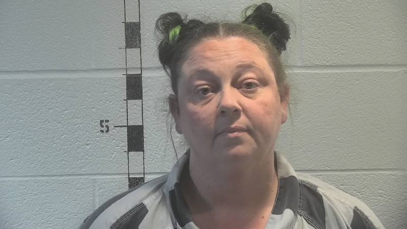 Booking photo of Erinlegh Wimp