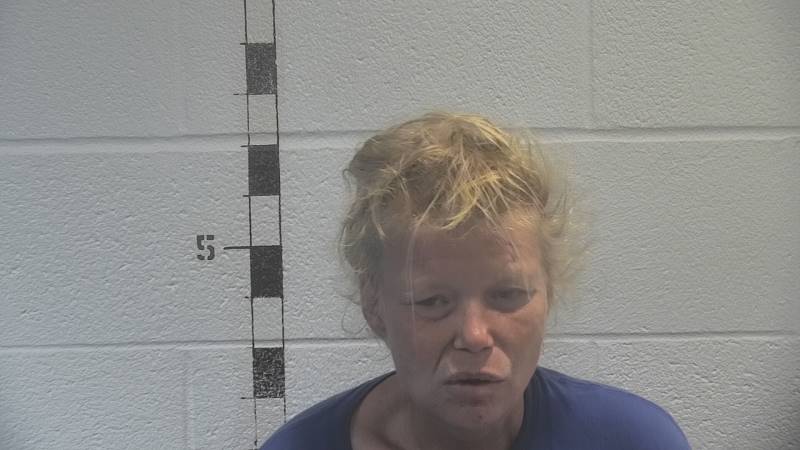 Booking photo of Jenni Langdon