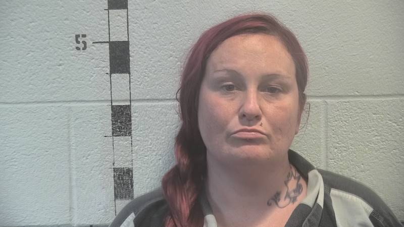 Booking photo of Kamela Mcclanahan