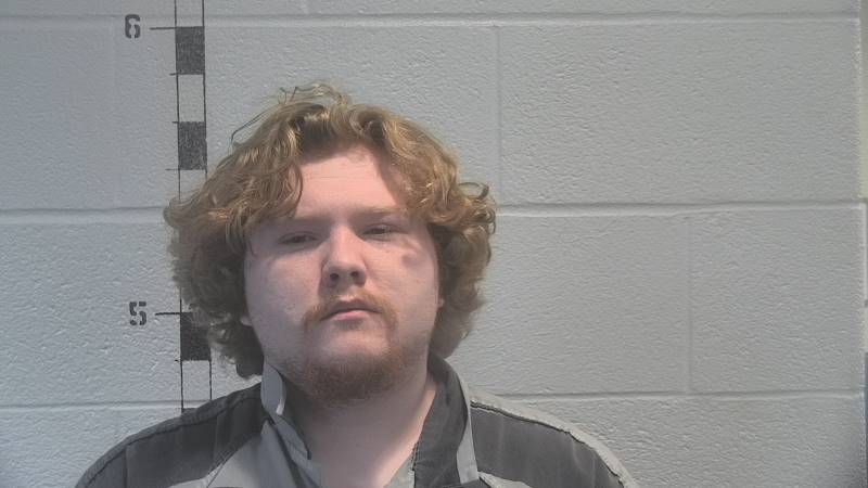 Booking photo of Dylan Lyons