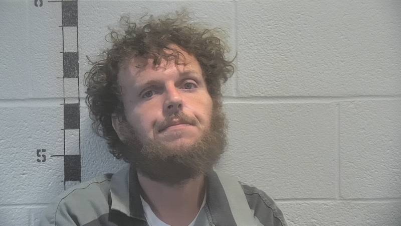 Booking photo of Ryan Gibson