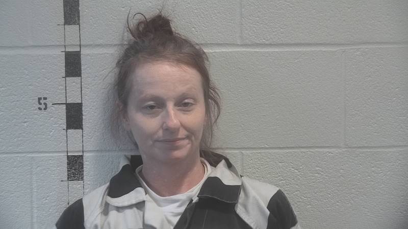 Booking photo of Sheena Lawson