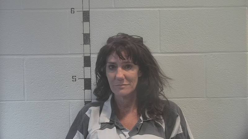Booking photo of Dana Price Torrey