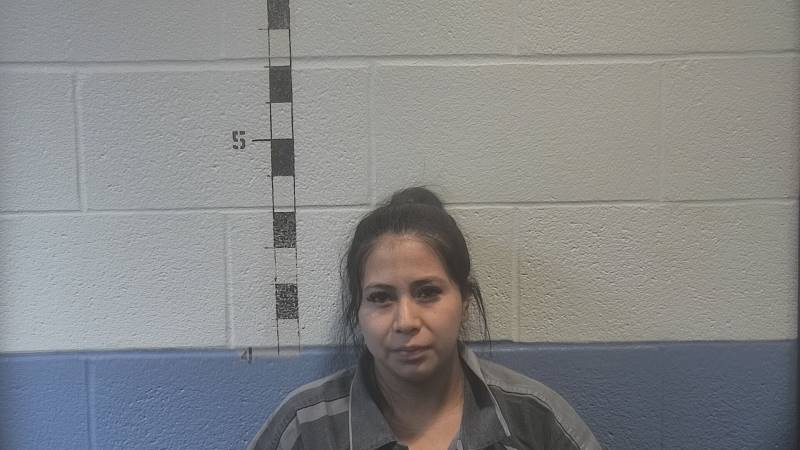 Booking photo of Everilda Cax Perez