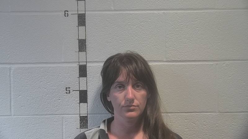 Booking photo of Brittney Bremer