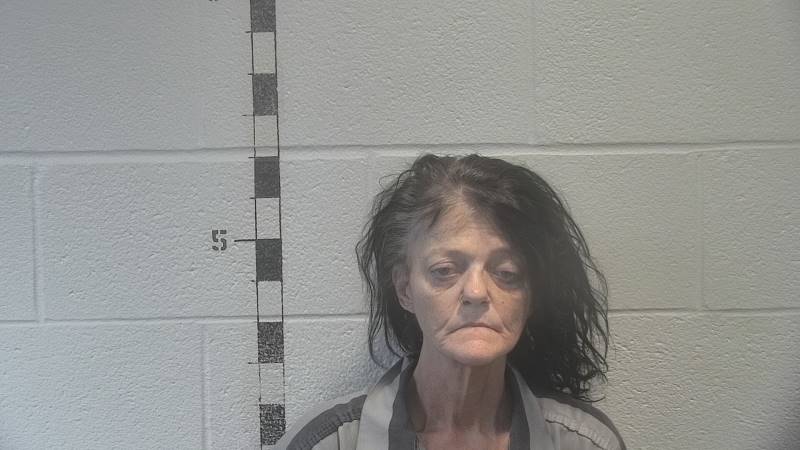 Booking photo of Meranda Dews