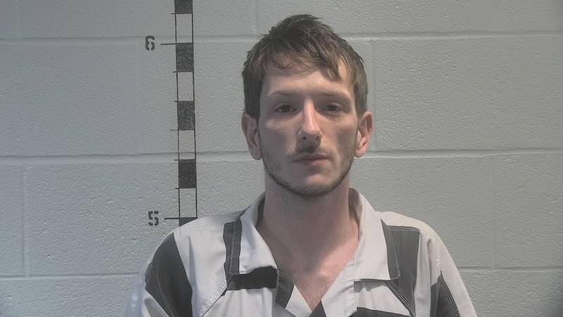Booking photo of Brandon Harvey