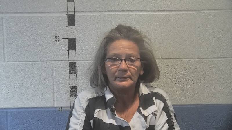 Booking photo of Shonda Sumner