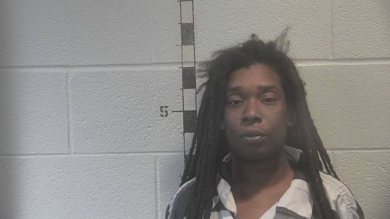 Malicah Brown booking photo