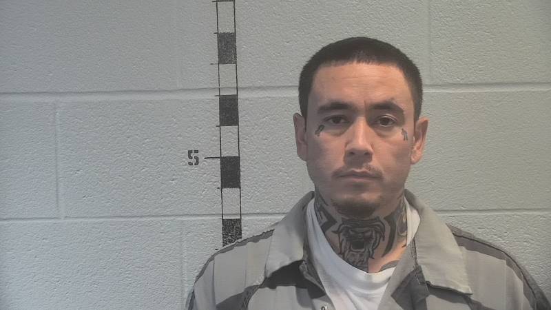 Brandon Pham booking photo