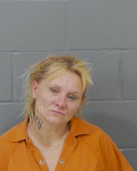 Booking photo of Tara Howell