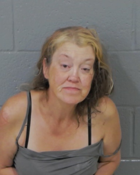 Booking photo of Amy Shaver