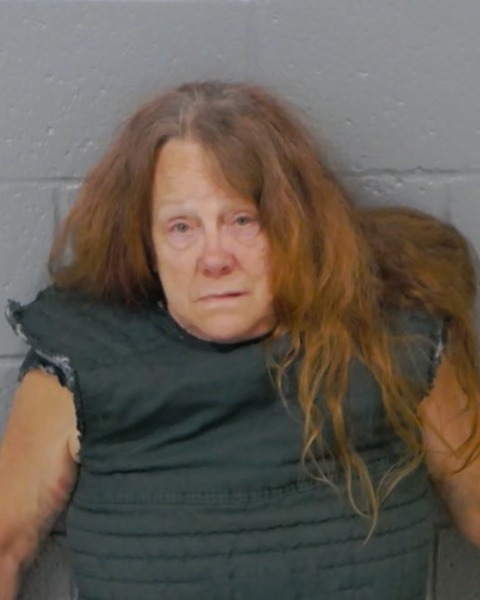 Booking photo of Melissa King