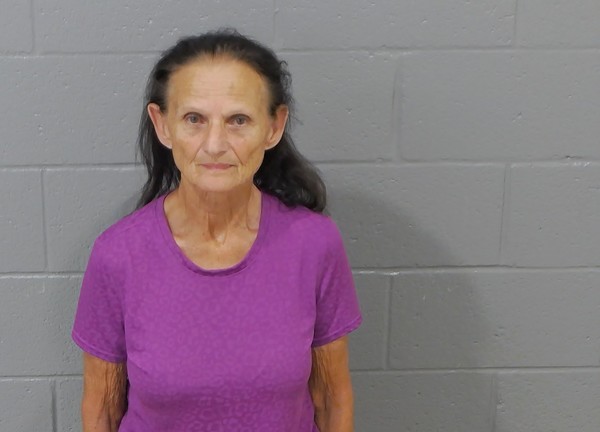 Anne Kersey booking photo