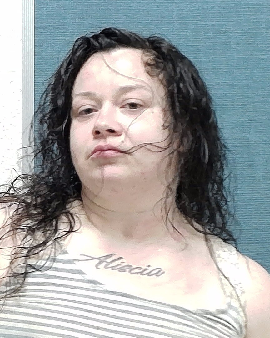 Booking photo of Lisa Marie Ricosky