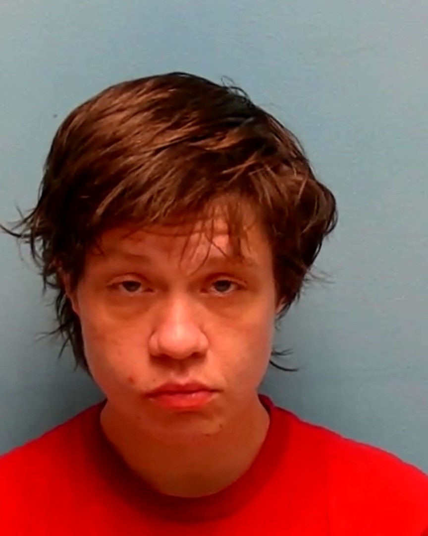 Booking photo of Mistie Demarre