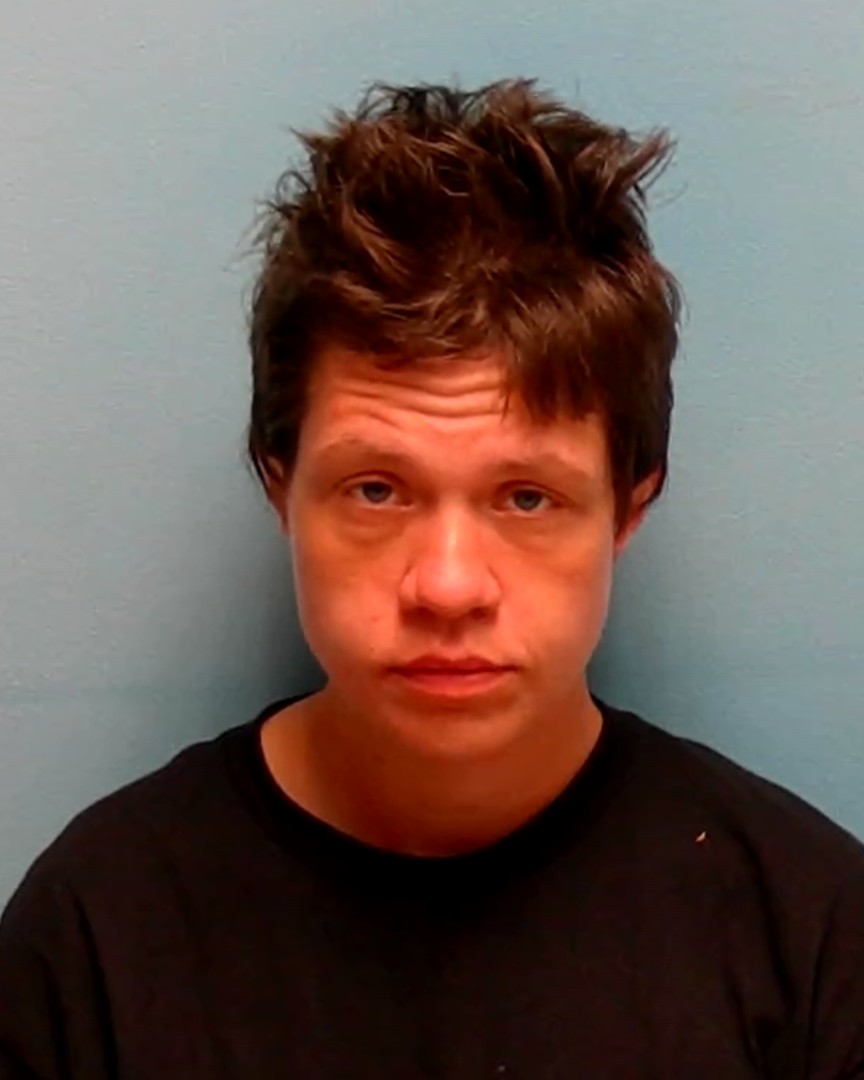Booking photo of Mistie Demarre
