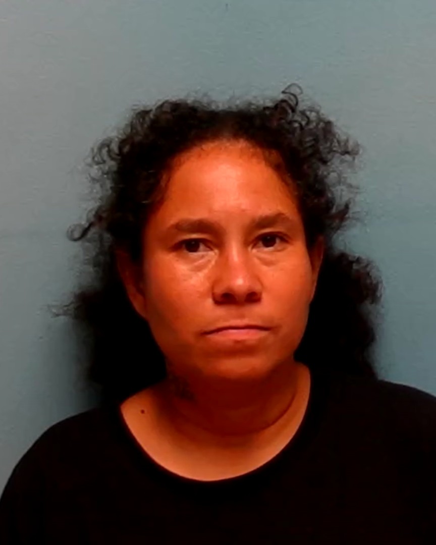 Booking photo of Denise Chaske