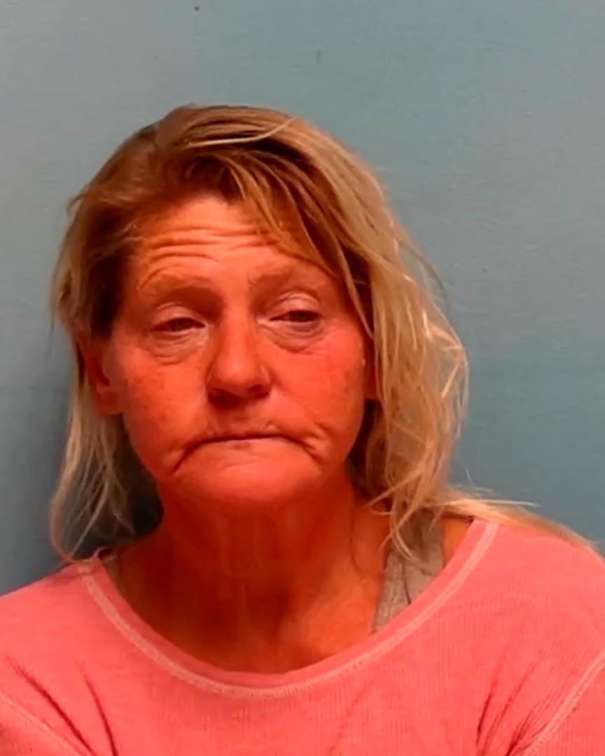 Booking photo of Nicole Bitz