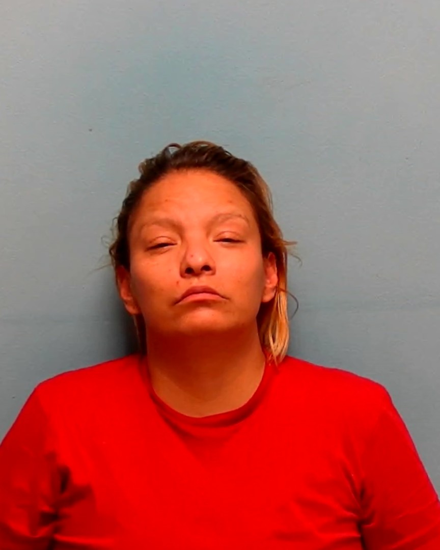 Booking photo of Cynthia Skinaway