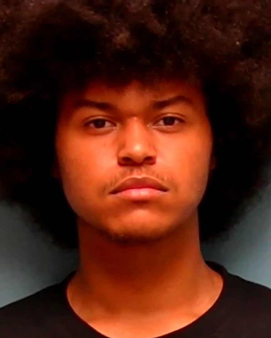 Booking photo of Divon Wolbersen