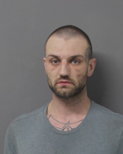 Booking photo of Dylan Henry