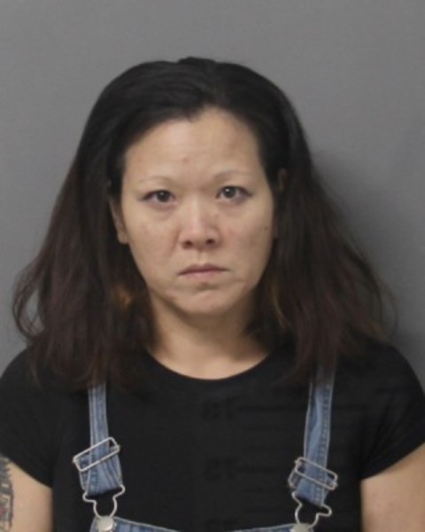 Booking photo of Julie Wing