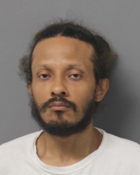 Booking photo of Malcolm Fitzgerald