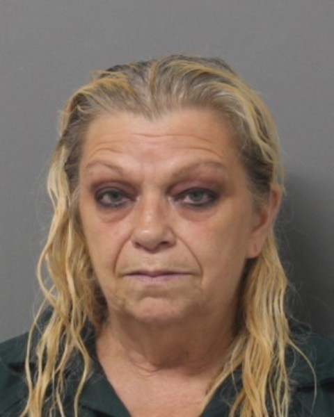 Booking photo of Terri Carl