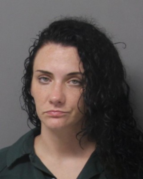 Booking photo of Brandee Johnson