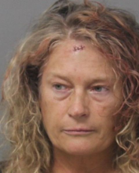 Booking photo of Paula Smith
