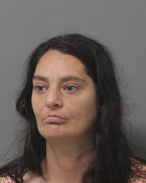 Booking photo of Jennifer Ellis