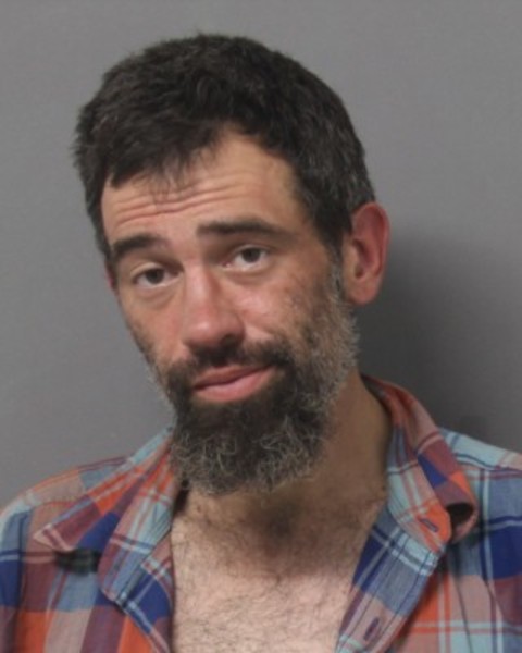 Booking photo of Dale Comstock