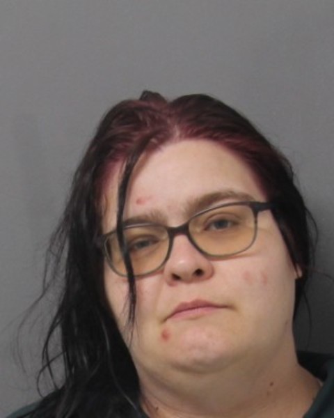 Booking photo of Renea Haight
