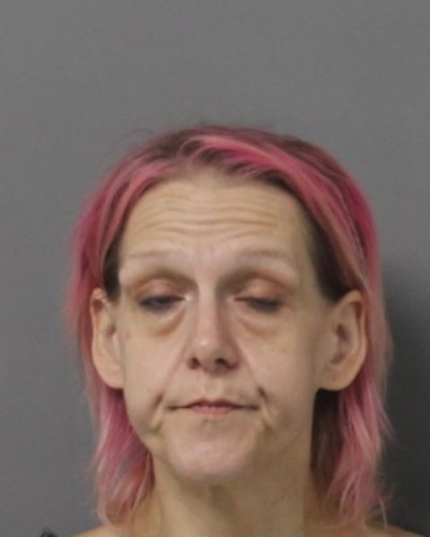 Elizabeth Shove booking photo