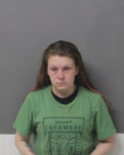 Jennifer Benson booking photo