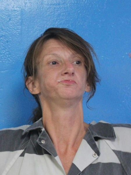 Booking photo of Ashley Luckett
