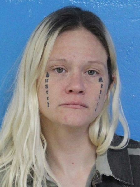 Booking photo of Lisa Quinto-landa